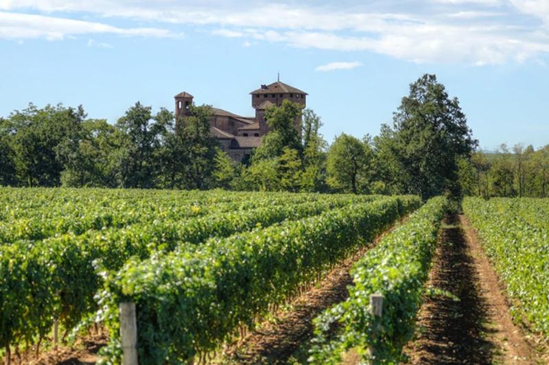 B&B Le Strade Del Gavi Francavilla Bisio Eksteriør bilde